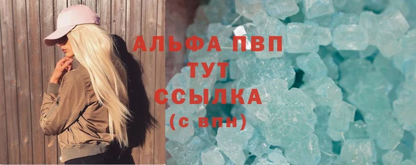 хмурый Аркадак