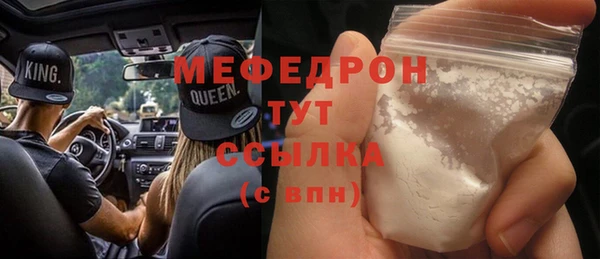 хмурый Аркадак