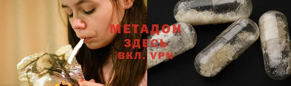 хмурый Аркадак