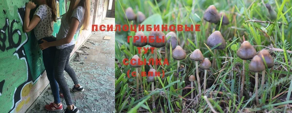 стафф Армянск