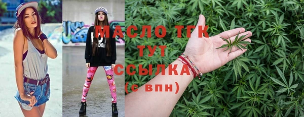 хмурый Аркадак