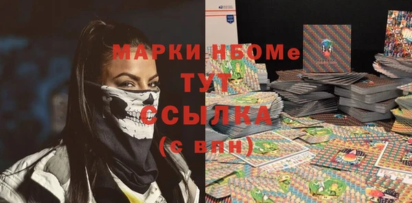 хмурый Аркадак