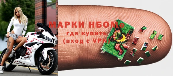 хмурый Аркадак