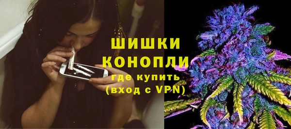 хмурый Аркадак