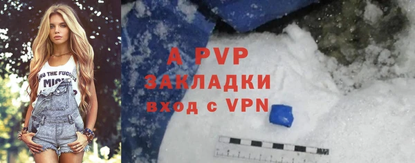хмурый Аркадак