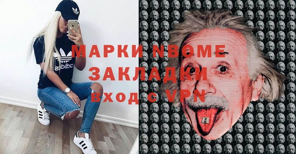 хмурый Аркадак